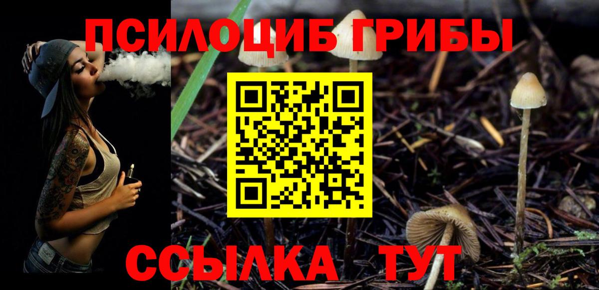 Псилоцибиновые грибы Magic Shrooms  Вход с VPN  Галлюциногенные грибы прущие грибы  Добрянка 